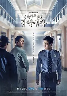 晚风暗涌 电视剧 2025